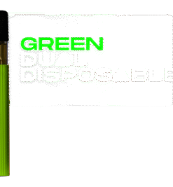 GREEN DUAL DISPOSABLES ACE